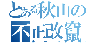 とある秋山の不正改竄（チート）