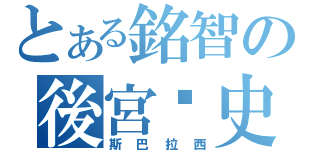 とある銘智の後宮歷史（斯巴拉西）