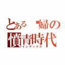 とある媳婦の憤青時代（インデックス）