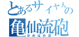 とあるサイヤ人の亀仙流砲（かめはめ波）