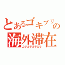 とあるゴキブリの海外滞在（カサカサカサカサ）