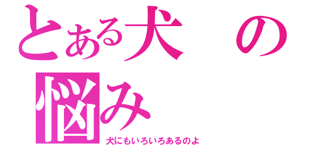 とある犬の悩み（犬にもいろいろあるのよ）