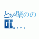 とある壁のの中（高等学校）