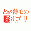 とある薄毛の禿げゴリラ（そーたろー）