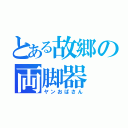 とある故郷の両脚器（ヤンおばさん）