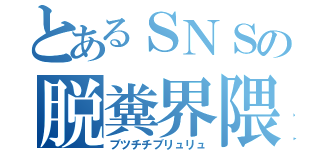 とあるＳＮＳの脱糞界隈（ブツチチブリュリュ）