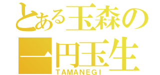 とある玉森の一円玉生活（ＴＡＭＡＮＥＧＩ）