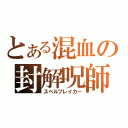 とある混血の封解呪師（スペルブレイカー）