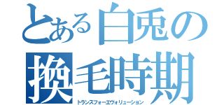 とある白兎の換毛時期（トランスフォーエヴォリューション）