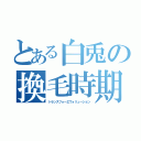 とある白兎の換毛時期（トランスフォーエヴォリューション）