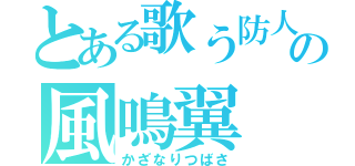 とある歌う防人の風鳴翼（かざなりつばさ）