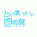 とある歌う防人の風鳴翼（かざなりつばさ）