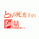 とある死禿子の阿量（我很愛莊愛ＹＡ）