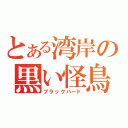 とある湾岸の黒い怪鳥（ブラックバード）