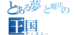 とある夢と魔法の王国（ディズニー）