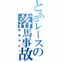 とあるレースの落馬事故（競争中止）