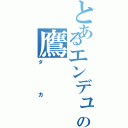 とあるエンデュミオンの鷹（タカ）