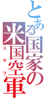 とある国家の米国空軍（ユサフ）