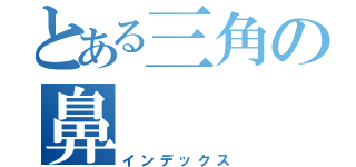 とある三角の鼻（インデックス）