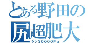 とある野田の尻超肥大（ケツ３００００Ｐａ）