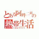 とある阿吽二組の熱帯生活（トロピクラフト）