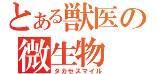 とある獣医の微生物（タカセスマイル）