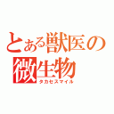 とある獣医の微生物（タカセスマイル）