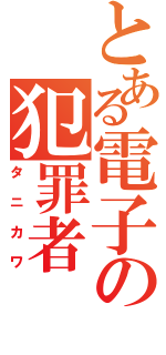 とある電子の犯罪者（タニカワ）