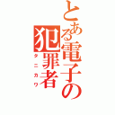 とある電子の犯罪者（タニカワ）