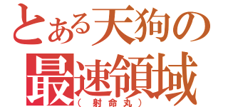 とある天狗の最速領域（（射命丸））