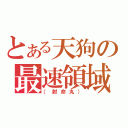 とある天狗の最速領域（（射命丸））