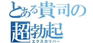 とある貴司の超勃起（エクスカリバー）