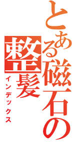 とある磁石の整髪（インデックス）