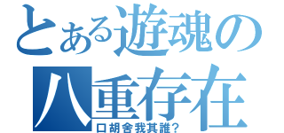 とある遊魂の八重存在（口胡舍我其誰？）