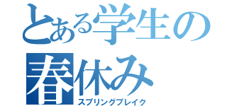 とある学生の春休み（スプリングブレイク）