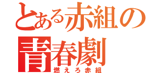 とある赤組の青春劇（燃えろ赤組）