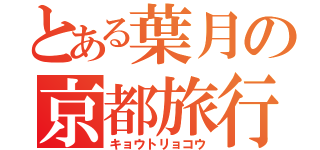 とある葉月の京都旅行（キョウトリョコウ）