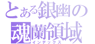 とある銀幽の魂蘭領域（インデックス）