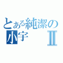 とある純潔の小宇Ⅱ（）