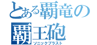 とある覇竜の覇王砲（ソニックブラスト）