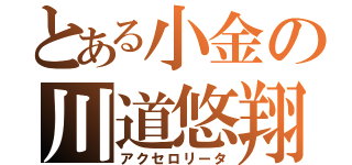 とある小金の川道悠翔（アクセロリータ）