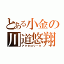 とある小金の川道悠翔（アクセロリータ）