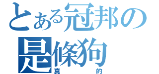 とある冠邦の是條狗（真的）