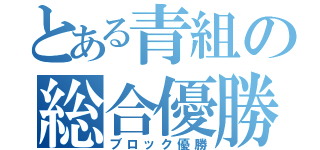 とある青組の総合優勝（ブロック優勝）