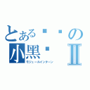 とある咖啡の小黑貓Ⅱ（モジュールインターン）