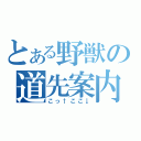 とある野獣の道先案内（こっ↑ここ↓）