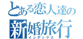 とある恋人達の新婚旅行（インデックス）