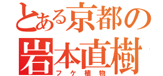 とある京都の岩本直樹（フケ植物）