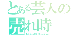 とある芸人の売れ時（スギちゃん見なくなったよなぁ）