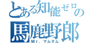 とある知能ゼロの馬鹿野郎（Ｍｒ．マムタム）